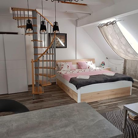 Pension Donaublick Grein 2 In Stifterstrasse 19A المظهر الخارجي الصورة