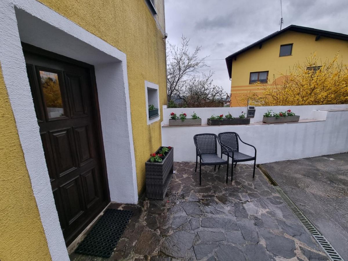 Pension Donaublick Grein 2 In Stifterstrasse 19A المظهر الخارجي الصورة