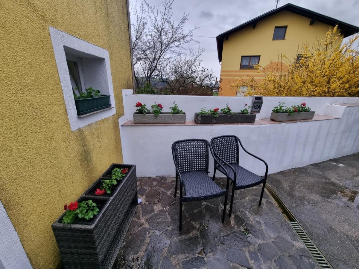 Pension Donaublick Grein 2 In Stifterstrasse 19A المظهر الخارجي الصورة