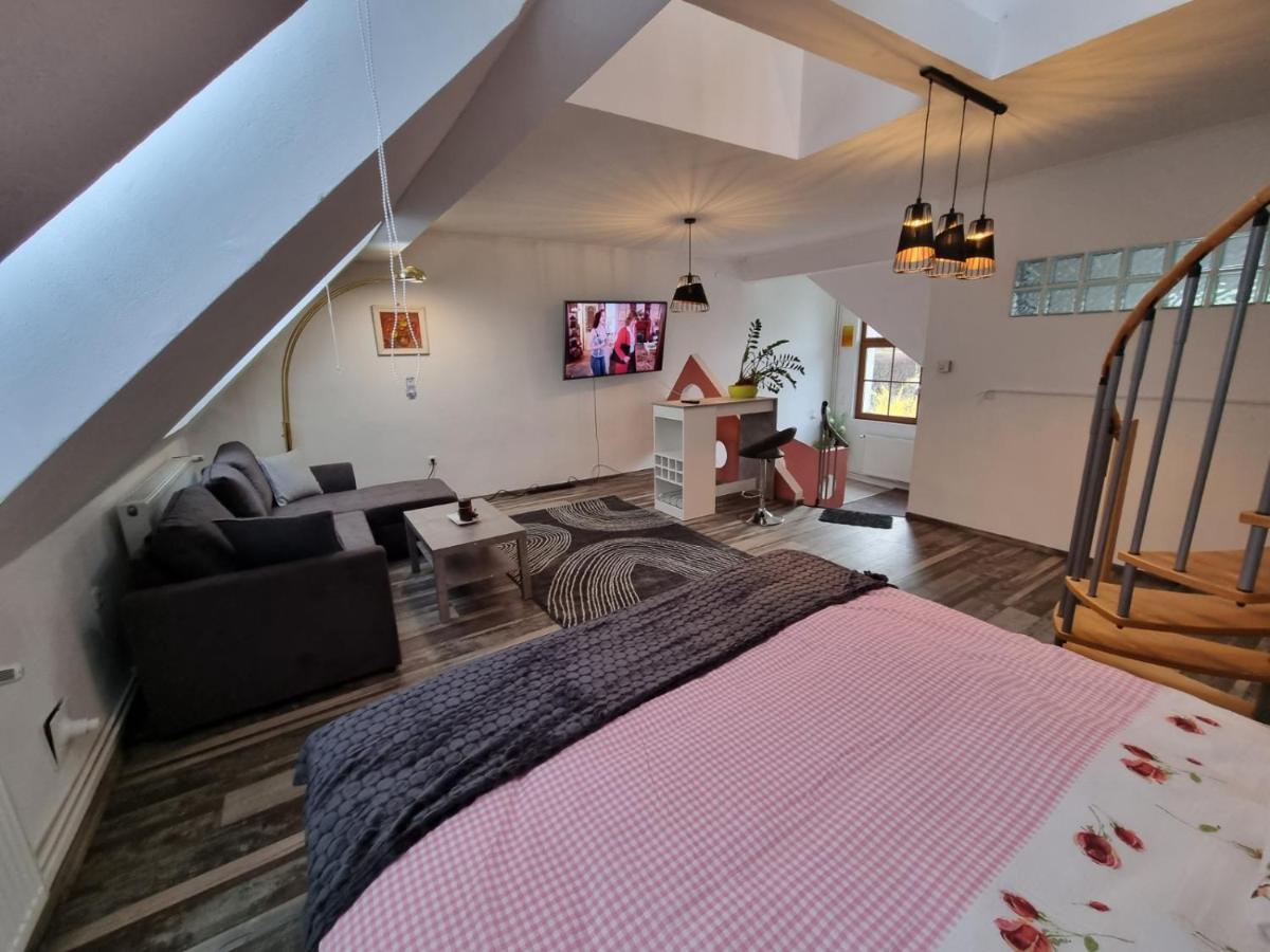 Pension Donaublick Grein 2 In Stifterstrasse 19A المظهر الخارجي الصورة