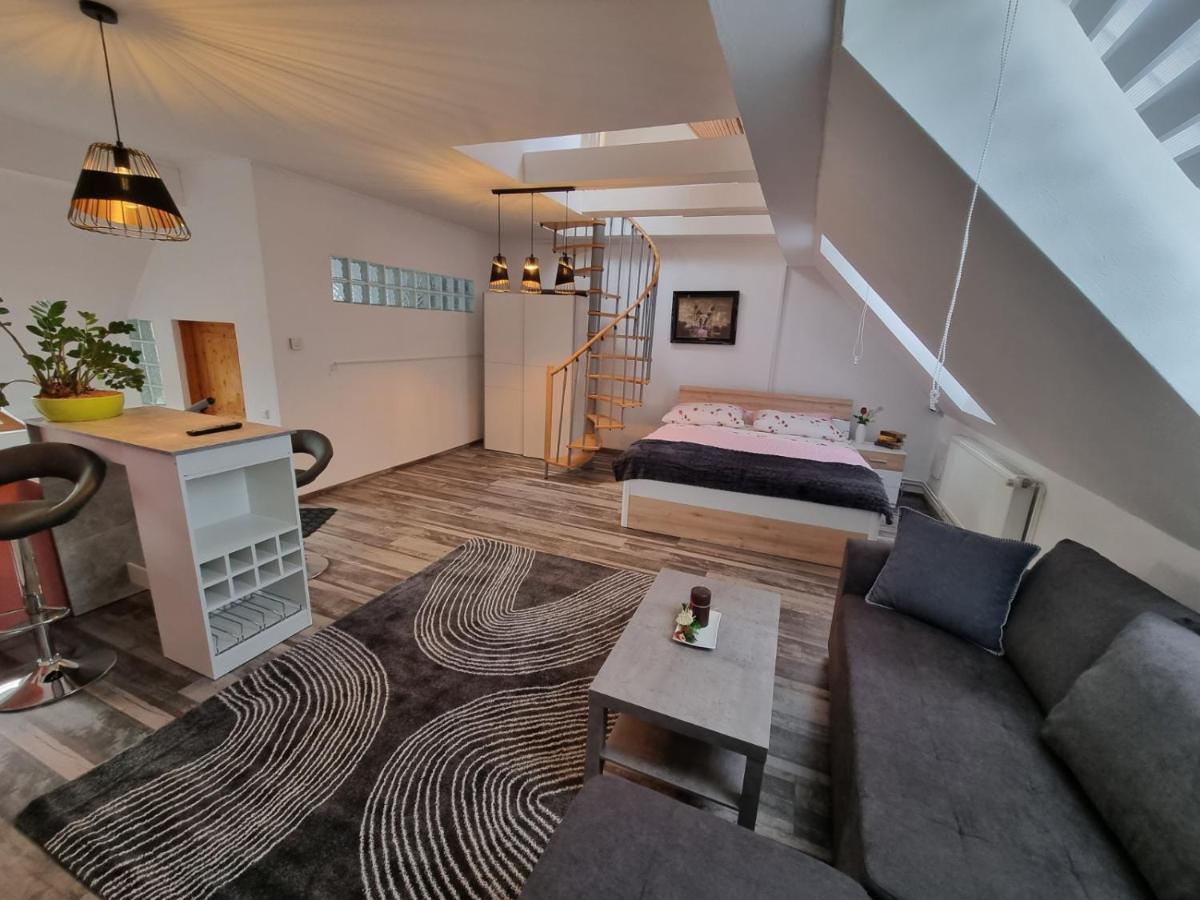 Pension Donaublick Grein 2 In Stifterstrasse 19A المظهر الخارجي الصورة