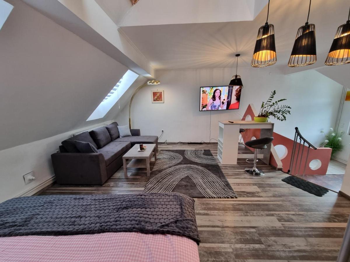 Pension Donaublick Grein 2 In Stifterstrasse 19A المظهر الخارجي الصورة