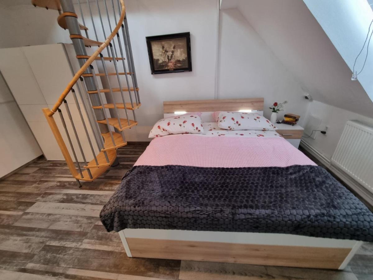Pension Donaublick Grein 2 In Stifterstrasse 19A المظهر الخارجي الصورة