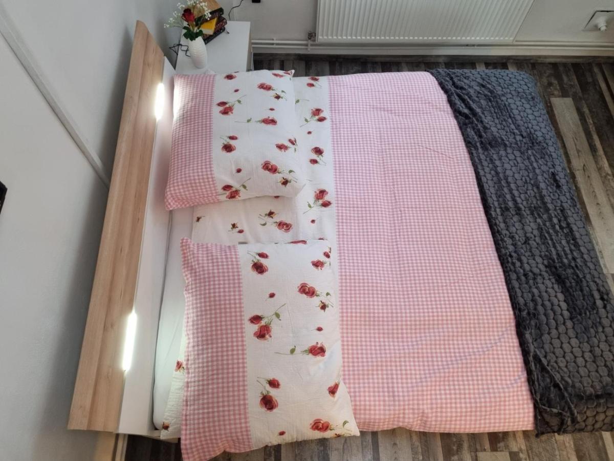 Pension Donaublick Grein 2 In Stifterstrasse 19A المظهر الخارجي الصورة