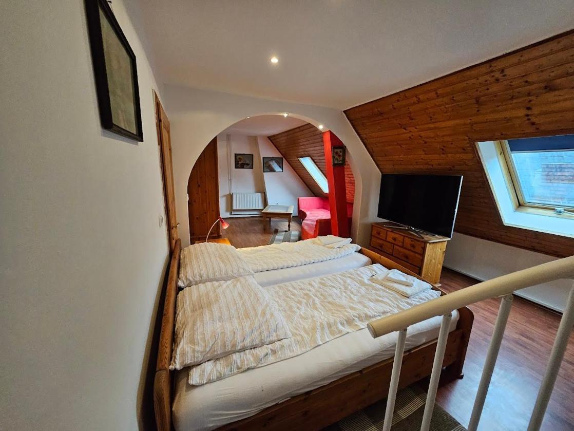 Pension Donaublick Grein 2 In Stifterstrasse 19A المظهر الخارجي الصورة